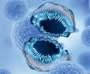 Exosomes london doha beirut dubai