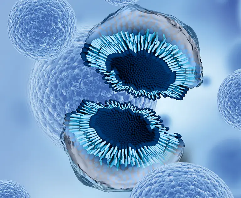 Morpheus 8 6 Exosomes london doha beirut dubai