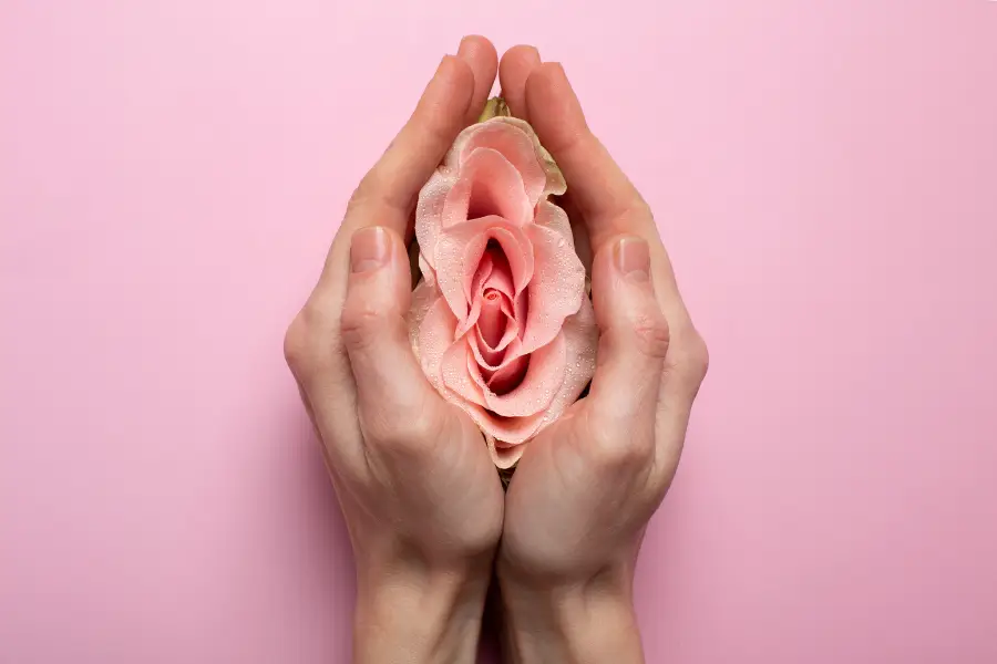labia